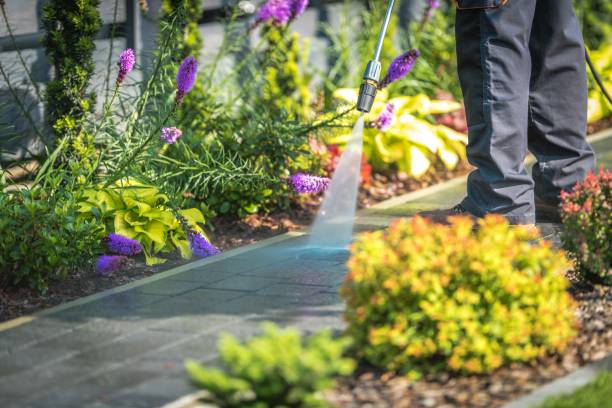 Trusted Hinton, WV Pressure Washing Services Experts